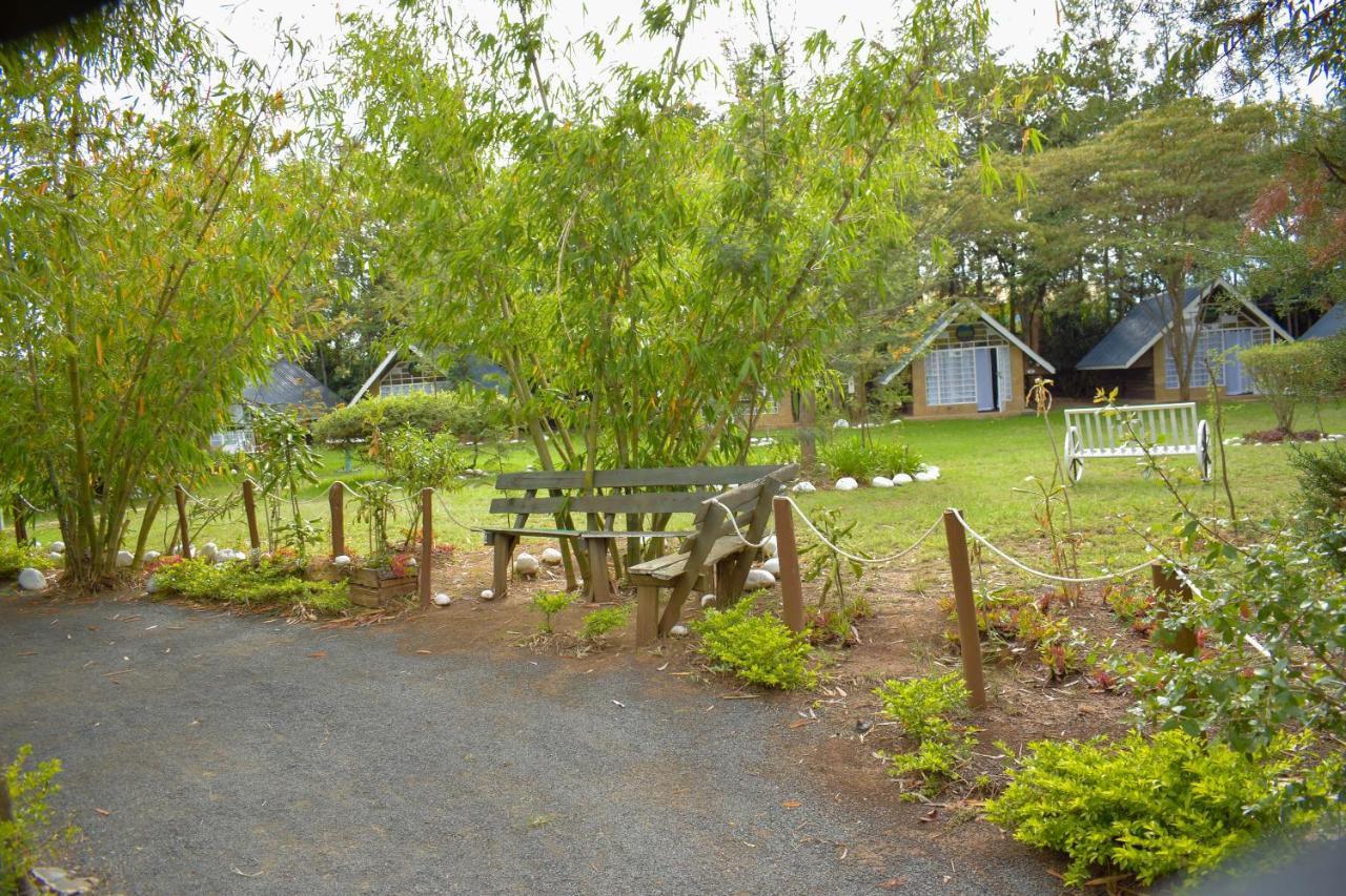 Camp Mahon Gardens Hotel Nanyuki Exterior foto